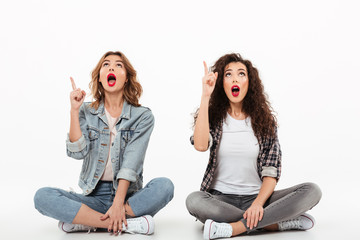 Wall Mural - Two surprised girls sitting on he floor together