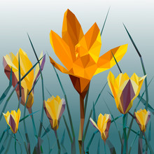  Yellow Crocus Blooming Flowers Isolated On White. Spring Colorful Plants With Buds Close Up. Crocus Flowers Signs For Greeting Cards And Invitations. Vector