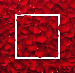 Frame of red rose petals