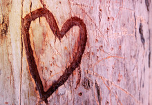 Photo Of Old Tree Trunk With Heart Carved On It. Valentine's Day Concept. Romantic Background.