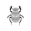 Graphic illustration of scarab engraved on white background