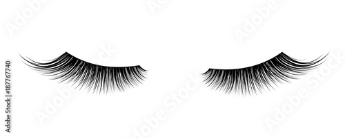 Cuadros en Lienzo Black False eyelashes. Mascara single decorative element.
