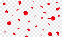 Falling Rose Petals Vector Illustration. Red Rose Petals On Fake Transparent Background
