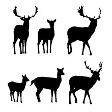 Set Of Vector Silhouettes Of Deer With A Fawn
