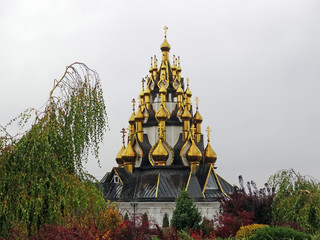 Wall Mural - The Golden domes of the Orthodox Cathedral