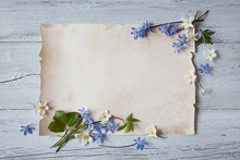 Spring Flowers Of Scilla, Anemones, Snowdrops On A White Wooden Background And Paper For Text.