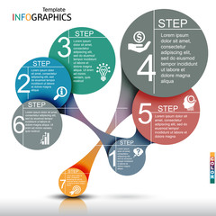 Wall Mural - infographics business template elements