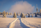 Fototapeta Na ścianę - Early morning snow covered black forest warmed up by the sun rays. The sky is opening up and the fir trees are covered with snow after the storm the day before. Looking at the 