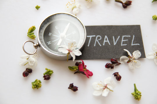 Spring Flower Background. Travel Handwritten Lettering