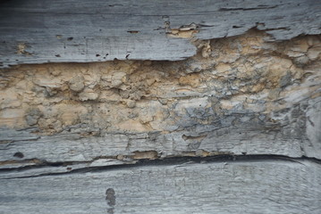 A board has been long exposed to the influence of atmospheric conditions.