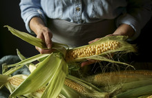 Close Up Of Caucasian Woman Shucking Corn