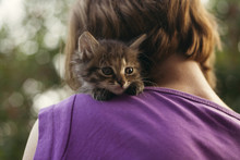 Face Of Cat Sitting On Shoulder Of Woman