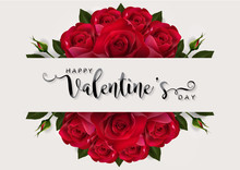 Valentine's Day Greeting Card Templates With Realistic Of Beautiful Red Rose On Background Color. Vector Eps.10