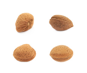 Wall Mural - Single almond nut isolated