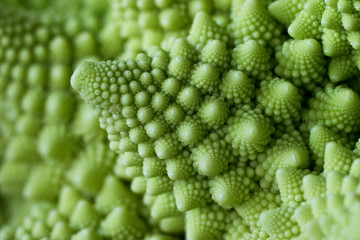 Wall Mural - Closeup of romanesco broccoli or Roman cauliflower.