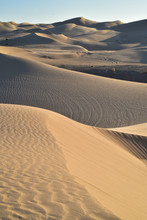 Golden Morning Light Sand Dunes Imperial Sand Dunes, California, USA