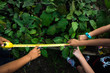 Diverse kids measuring in garden