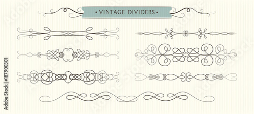 vector hand drawn flourishes dividers graphic high quality design
