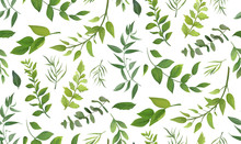 Seamless Pattern Of Eucalyptus Palm Fern Different Tree, Foliage Natural Branches, Green Leaves, Herbs, Tropical Plant Hand Drawn Watercolor Vector Fresh Beauty Rustic Eco Friendly Background On White