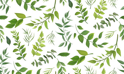 Seamless pattern of Eucalyptus palm fern different tree, foliage natural branches, green leaves, herbs, tropical plant hand drawn watercolor Vector fresh beauty rustic eco friendly background on white