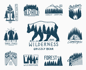 camping badges, mountains coniferous forest and wooden logo. wild nature. landscapes with pine trees