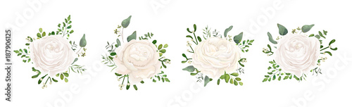 Vector floral bouquet design: white garden Ranunculus, Rose flower, fern, euc...