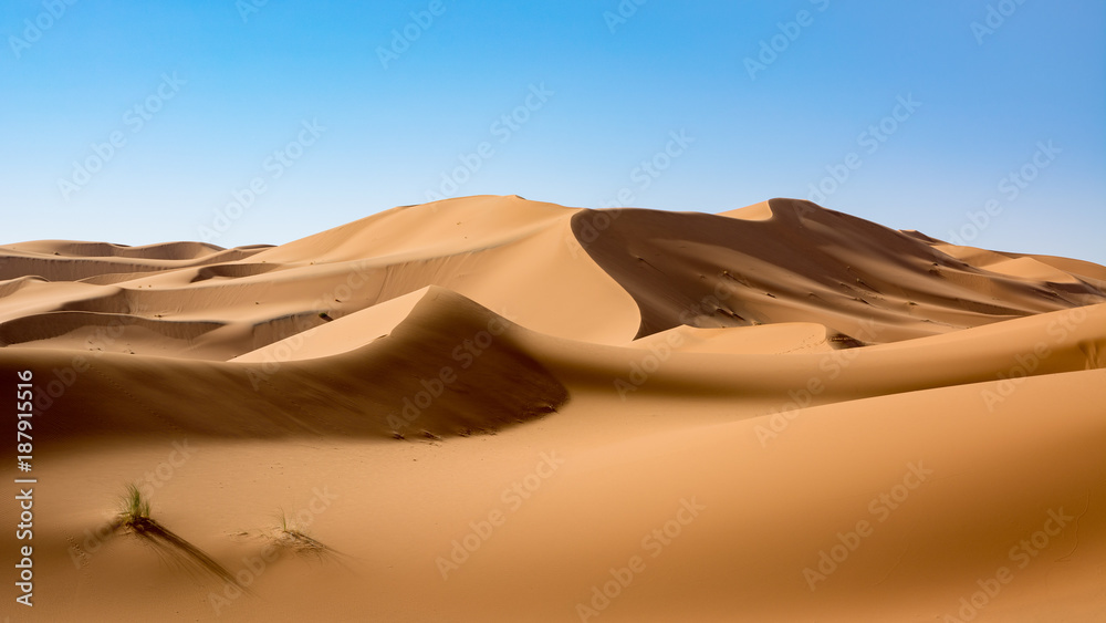 Sahara Desert, Erg Chebi dunes. Merzouga, Morocco - obrazy, fototapety, plakaty 