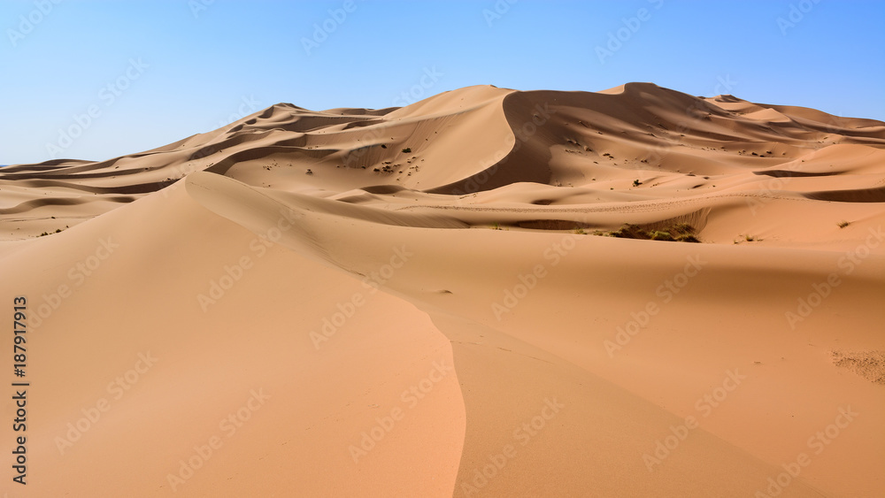 Sahara Desert, Erg Chebi dunes. Merzouga, Morocco - obrazy, fototapety, plakaty 