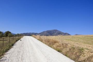 Sticker - white road and mountains