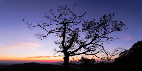 Wall Mural - Late autumn sunrise at Shenandoah National Park.