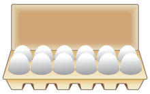 A Dozen Fresh Chicken Eggs In A Carton Ready To Use