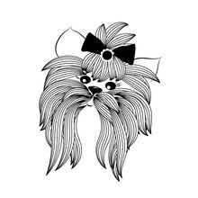 Yorkshire Terrier With Bow And Modern Stylish Hairstyle. Vector Beautiful Hand Drawn Isolated Sketchy Smiling Yorkie Puppy Illustration On A White Background. Yorkshire Terrier Vector Image For Design