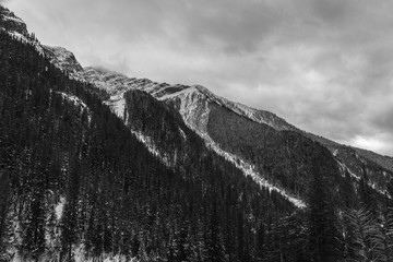 Poster - A Montana Winter