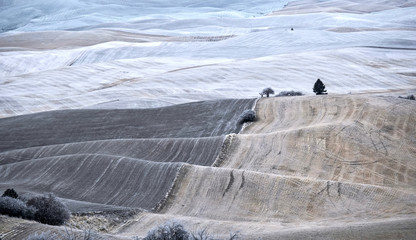 Farm lands covered with frost and snow in winter. Rolling hills in Palouse, Washington. USA