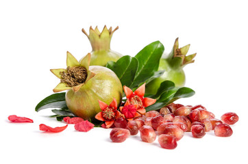 Canvas Print - three green pomegranates, seeds and leaves with petals on white background