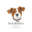 Jack Russell Terrier Head
