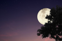 Dramatic Atmosphere Panorama View Of Beautiful Landscape Of Big Tree With Super Moon And Night Sky Background With Clipping Path.Image Of Moon Furnished By NASA.