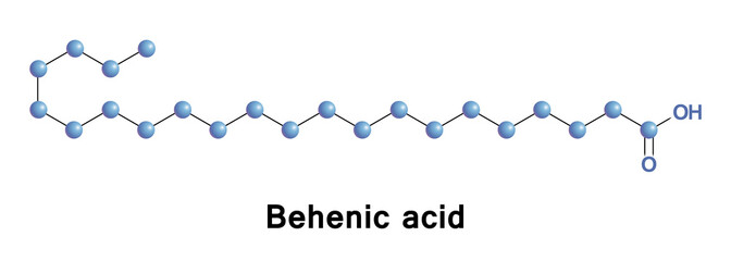 Canvas Print - Behenic or docosanoic acid