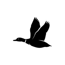 Flying Duck Vector Silhouette