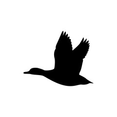 Wall Mural - flying duck vector silhouette