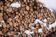 legno legni assi di legno tronchi di legno legname falegnameria