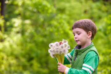 Wall Mural - Funny cute kid boy having fun with dandelion flower on warm and sunny summer day. Kid blowing on flower, active outdoors leisure with children