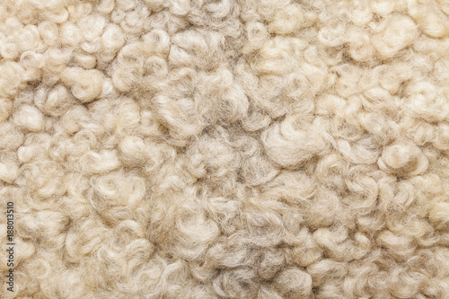 Photographie Sheep fur. Wool texture. Closeup background