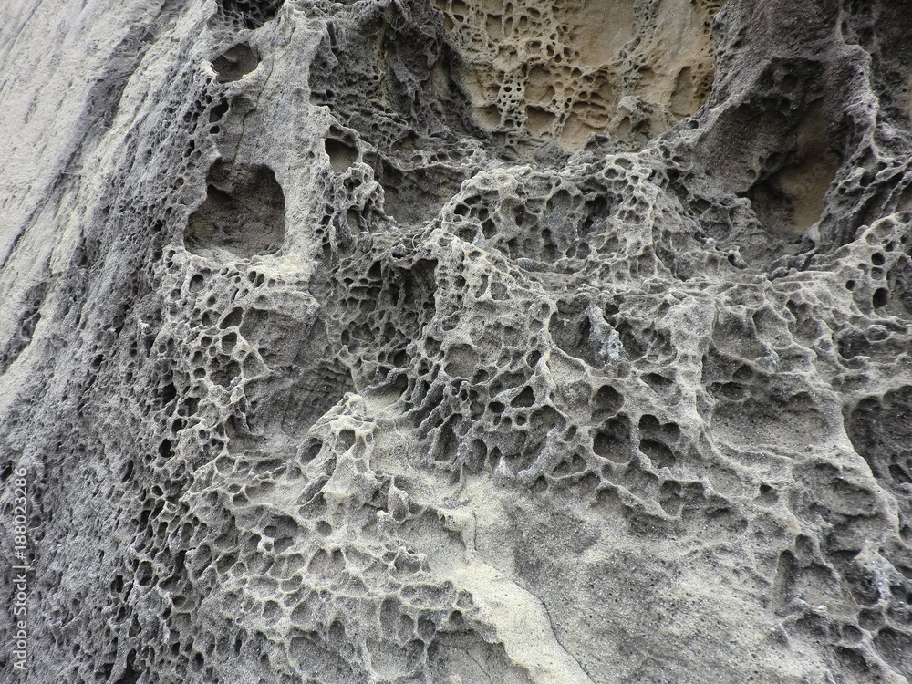 鬼ヶ城の特徴的な奇岩 網の目状の砂岩 三重県 Wall Mural Misumaru51shingo