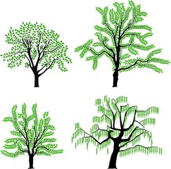 Wall Mural - collection of four different trees