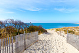 Fototapeta Natura - Sandy Path to the Beach Cape Henlopen, Sussex County, Lewes, Southern Delaware, USA