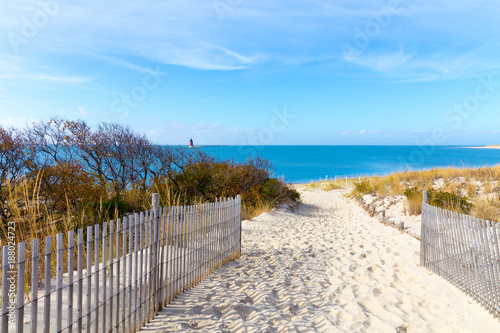 Dekoracja na wymiar  sandy-path-to-the-beach-cape-henlopen-sussex-county-lewes-southern-delaware-usa