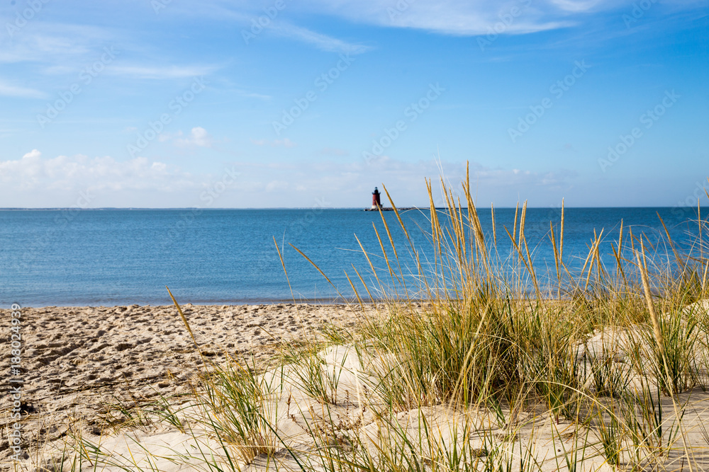View of Delaware Bay from the Beach at Cape Henlopen, Lewes, Delaware - obrazy, fototapety, plakaty 