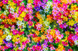 The small colorful fabric flowers backdrop or background for decoratin to make place romantic.