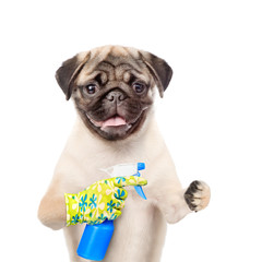 Poster - Funny puppy with a spray in his paw. isolated on white background